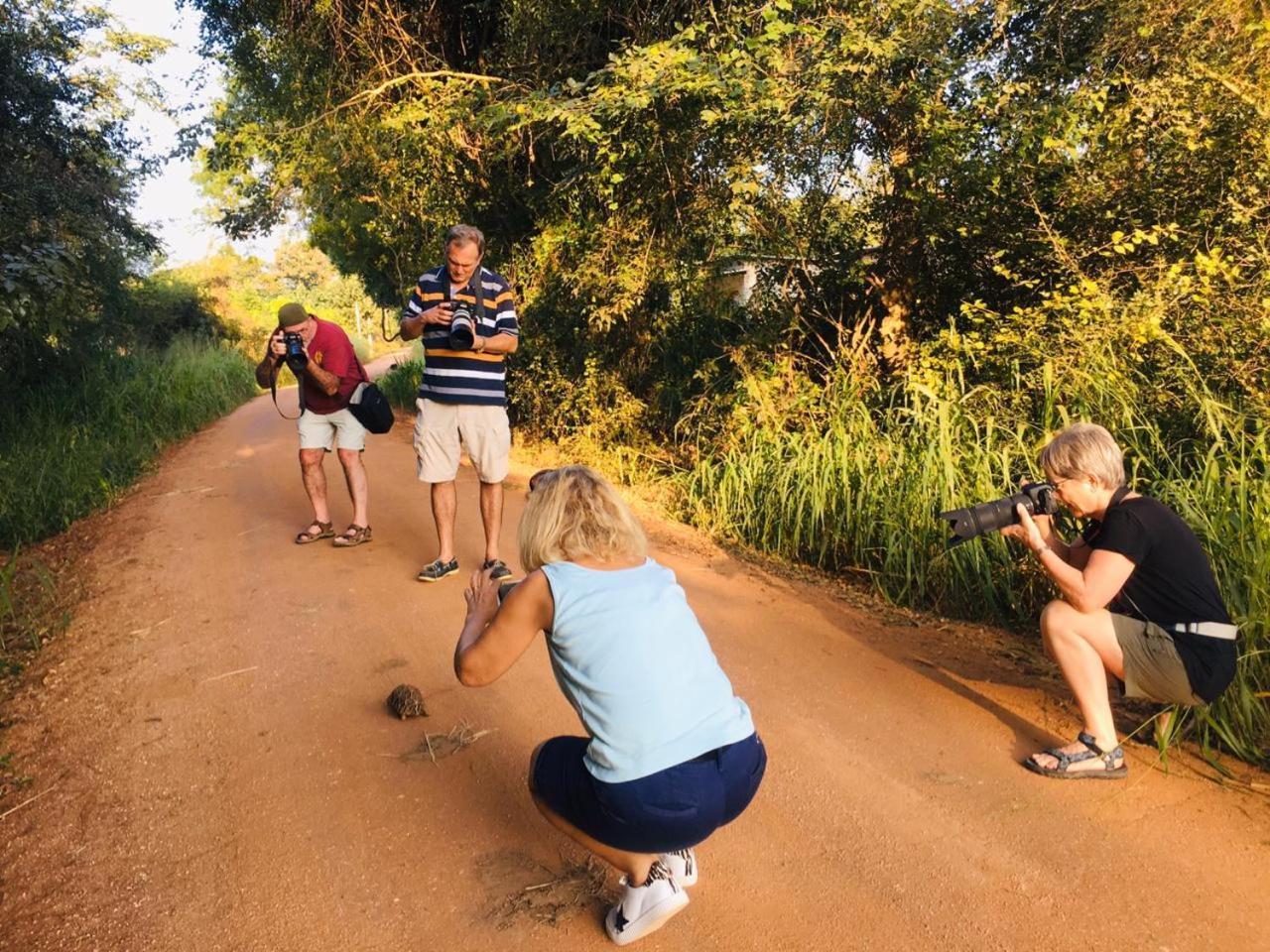 Hotel Mahoora Yala - By Eco Team Zewnętrze zdjęcie